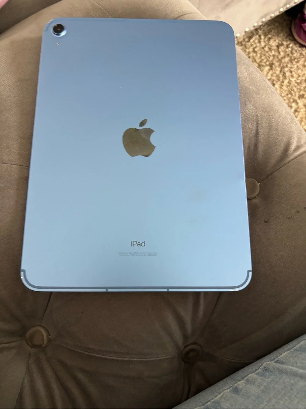 iPad 10th Generation carrier unlocked  256GB Blue Wi-Fi